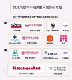 2017上半年中國(guó)跨境電商市場(chǎng)研究報(bào)告 便宜的海淘物流成為發(fā)展關(guān)鍵