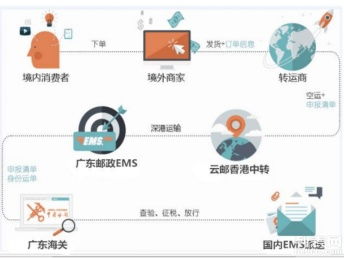 圖說海淘 個人包裹直郵進口清關代理、行郵清關與深圳物流服務全解析，助您找到便宜高效的海淘物流方案